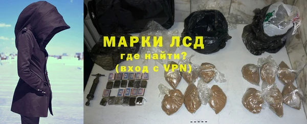 винт Инта