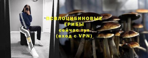 COCAINE Инсар