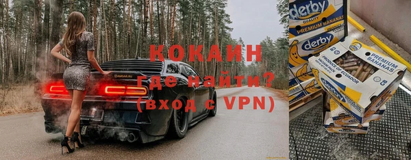 винт Инта