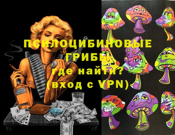COCAINE Инсар