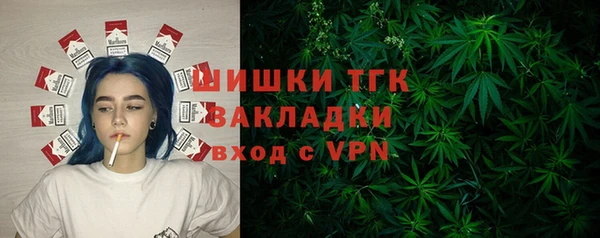 винт Инта