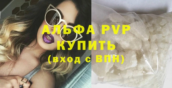 винт Инта