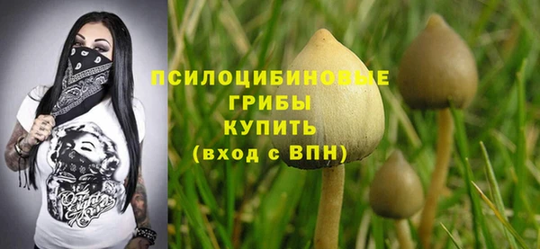 COCAINE Инсар