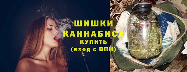 винт Инта
