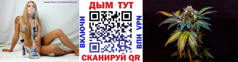 где купить наркотик  Кызыл  omg ССЫЛКА  Шишки марихуана сатива 